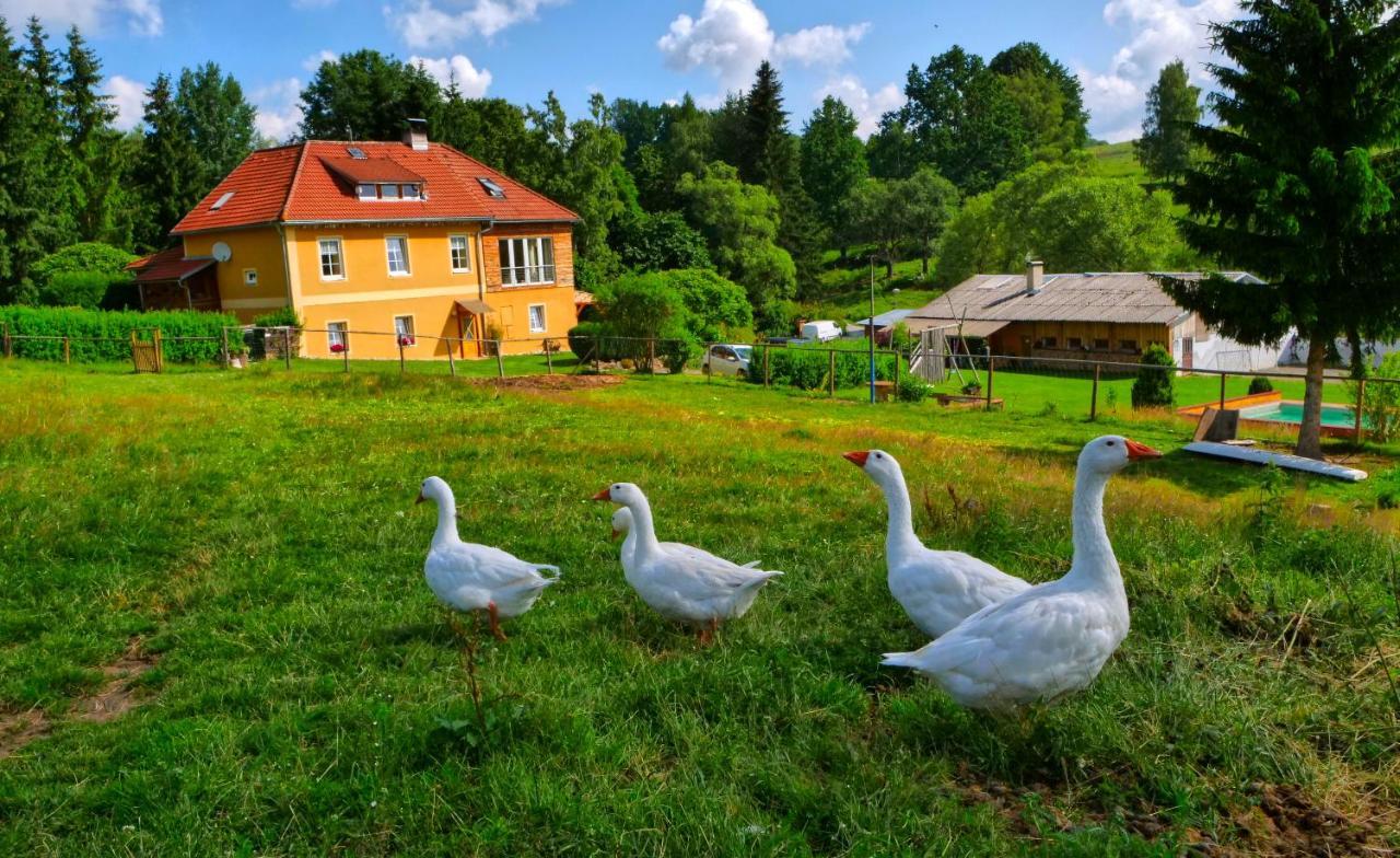 Chalupa Jenin Dolní Dvořiště Buitenkant foto