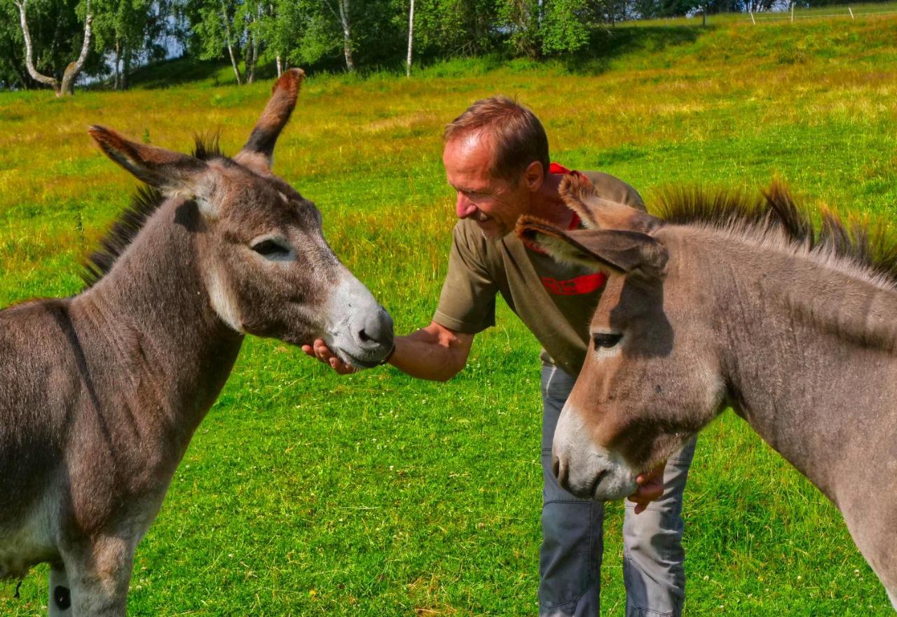 Chalupa Jenin Dolní Dvořiště Buitenkant foto